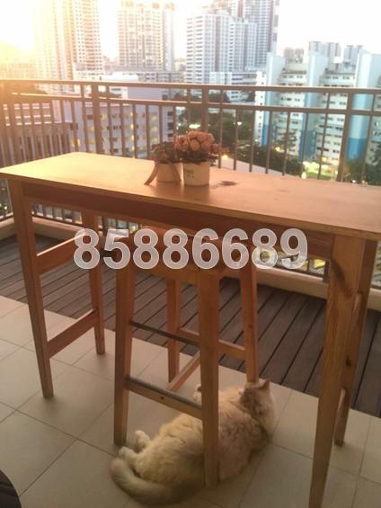 Blk 8 City View @ Boon Keng (Kallang/Whampoa), HDB 5 Rooms #154106072